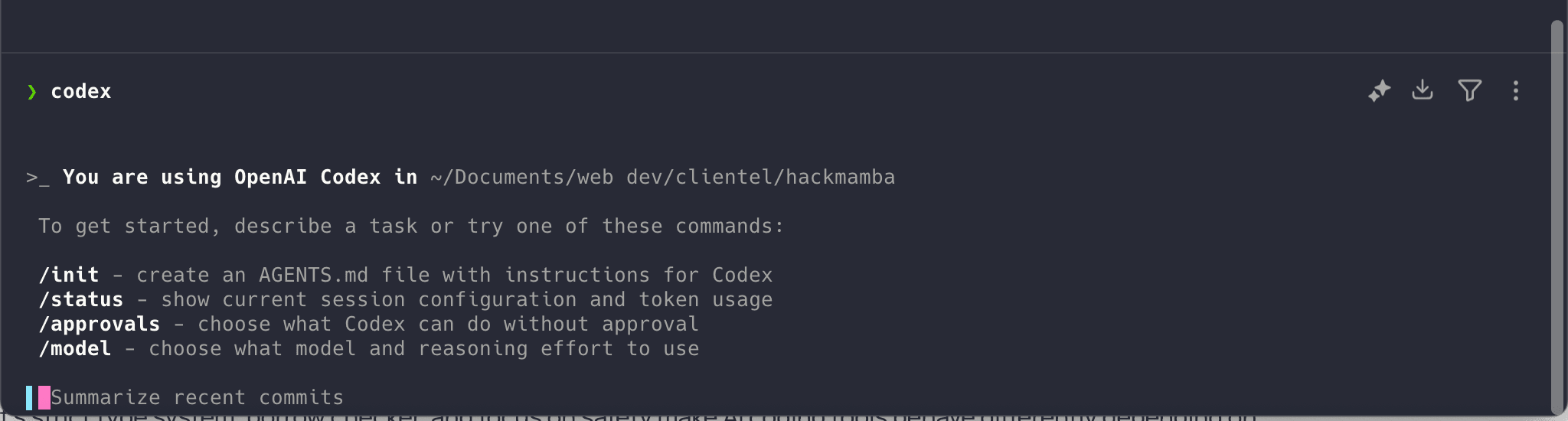 OpenAI Codex CLI