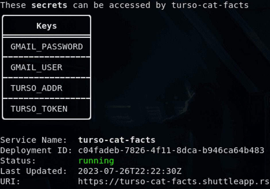 Preview of the cat facts API deployment